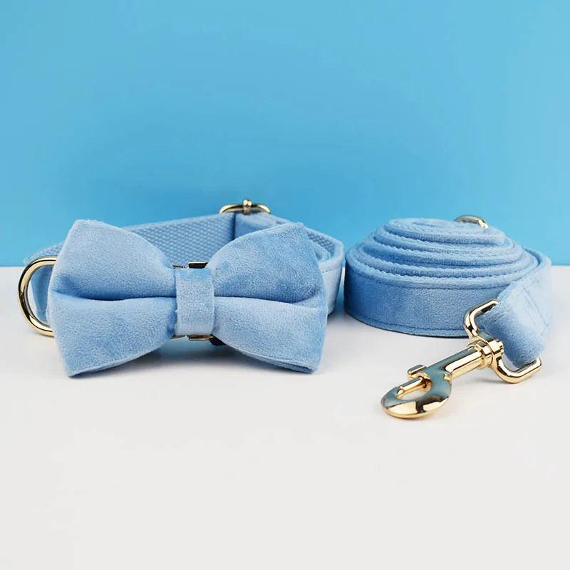 Luxury Dog Leash and Collar - Weird Wembley's Leashes & Collars 