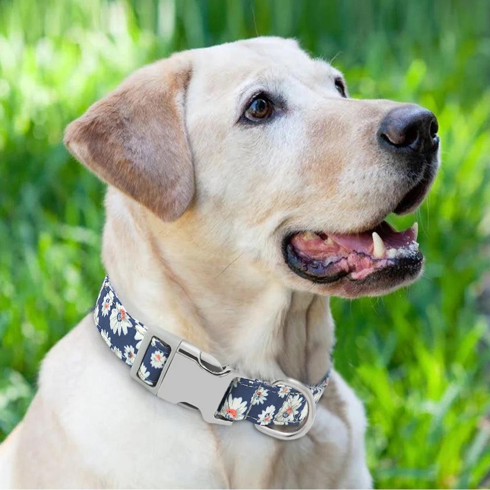 Custom Engraved Dog Collar - Weird Wembley's Leashes & Collars 