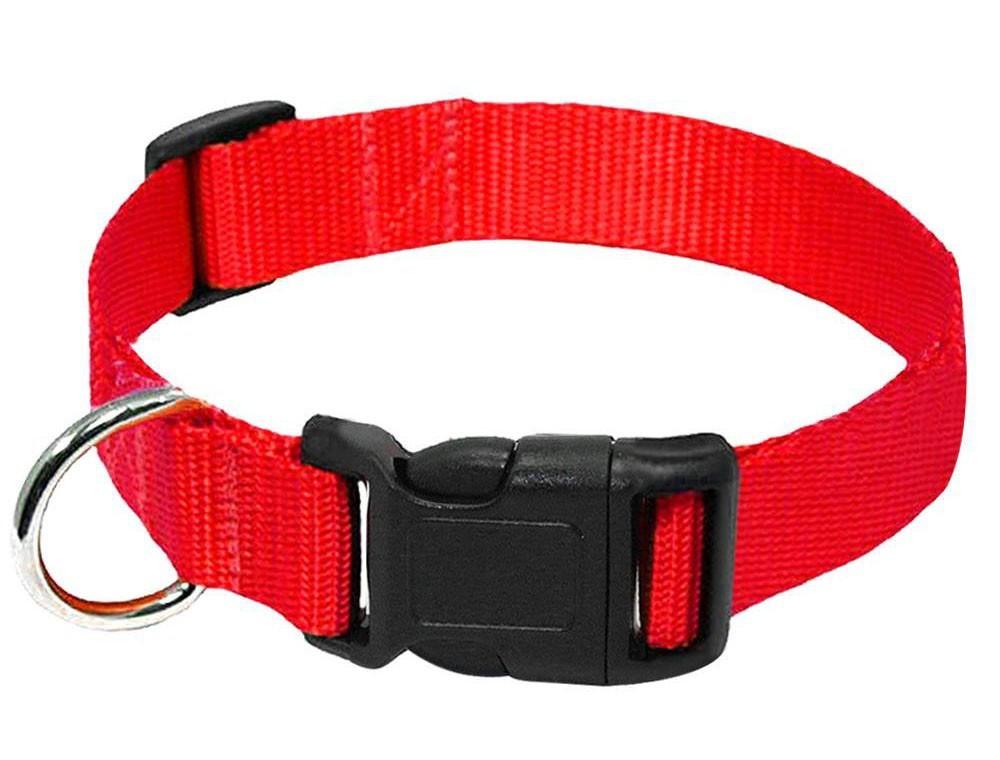 Durable Nylon Collar Dog Leash - Weird Wembley's Leashes & Collars 