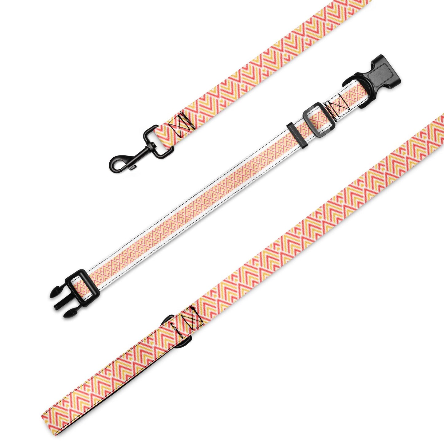 Pet collar & leash Set - Weird Wembley's Leashes & Collars 