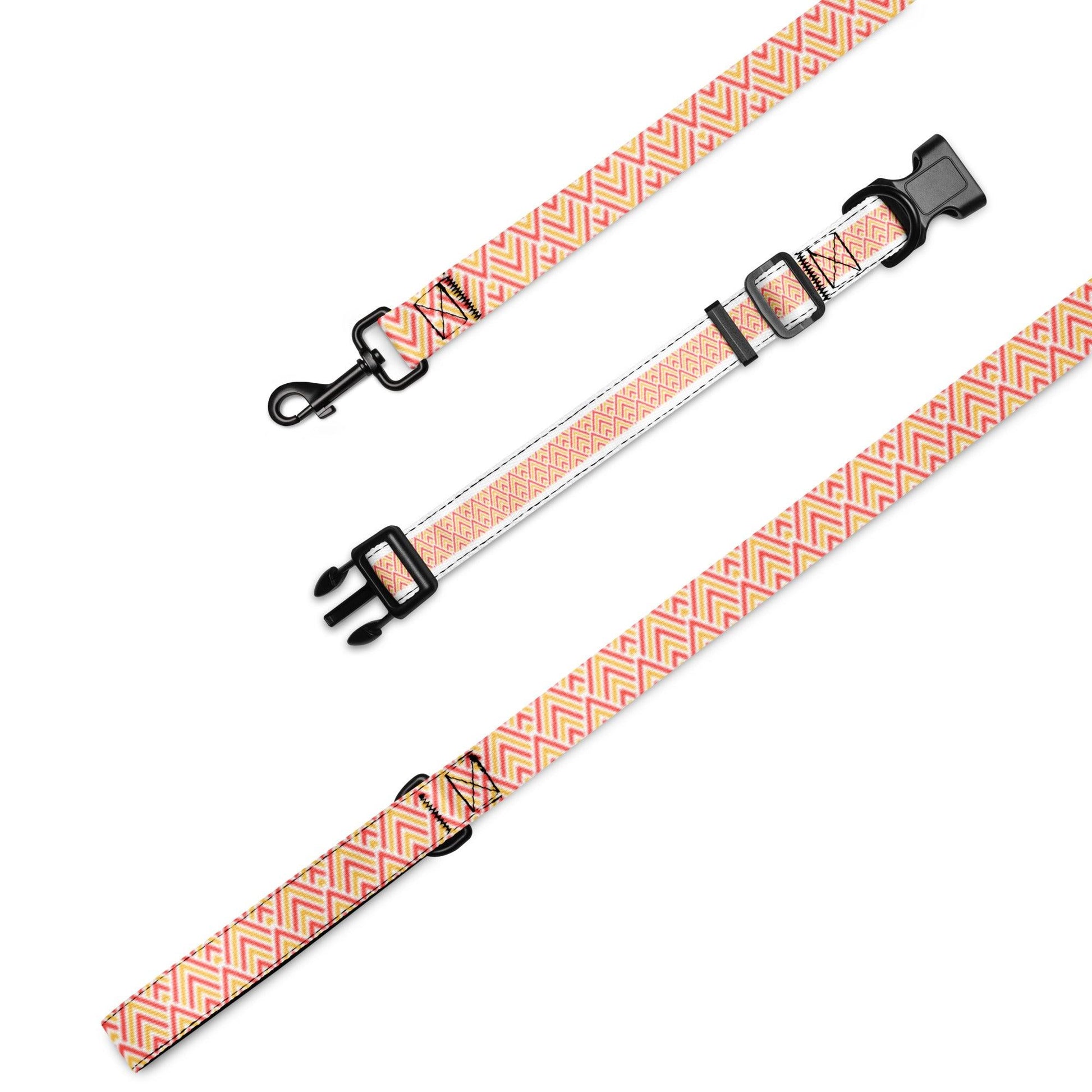 Pet collar & leash Set - Weird Wembley's Leashes & Collars 