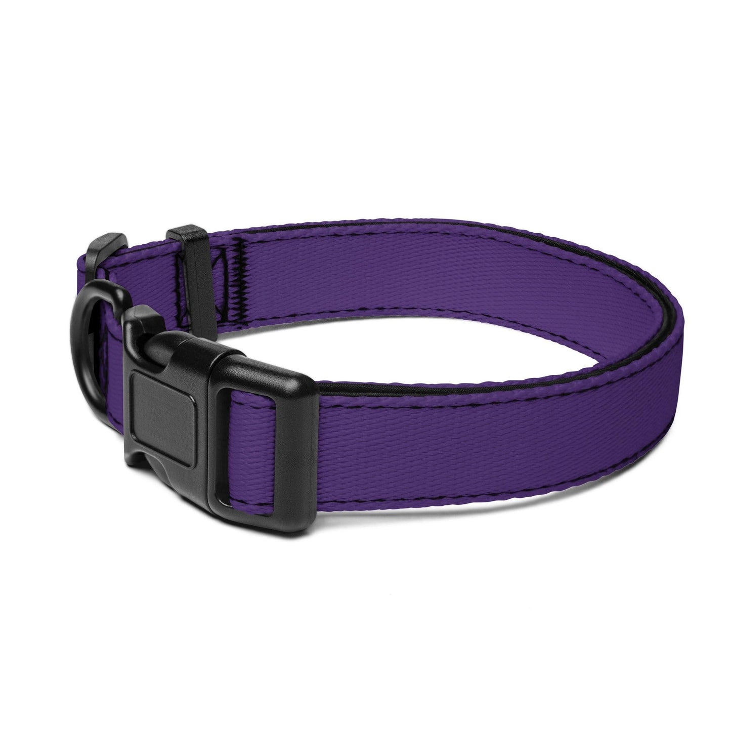 Purple Pet collar - Weird Wembley's Leashes & Collars 