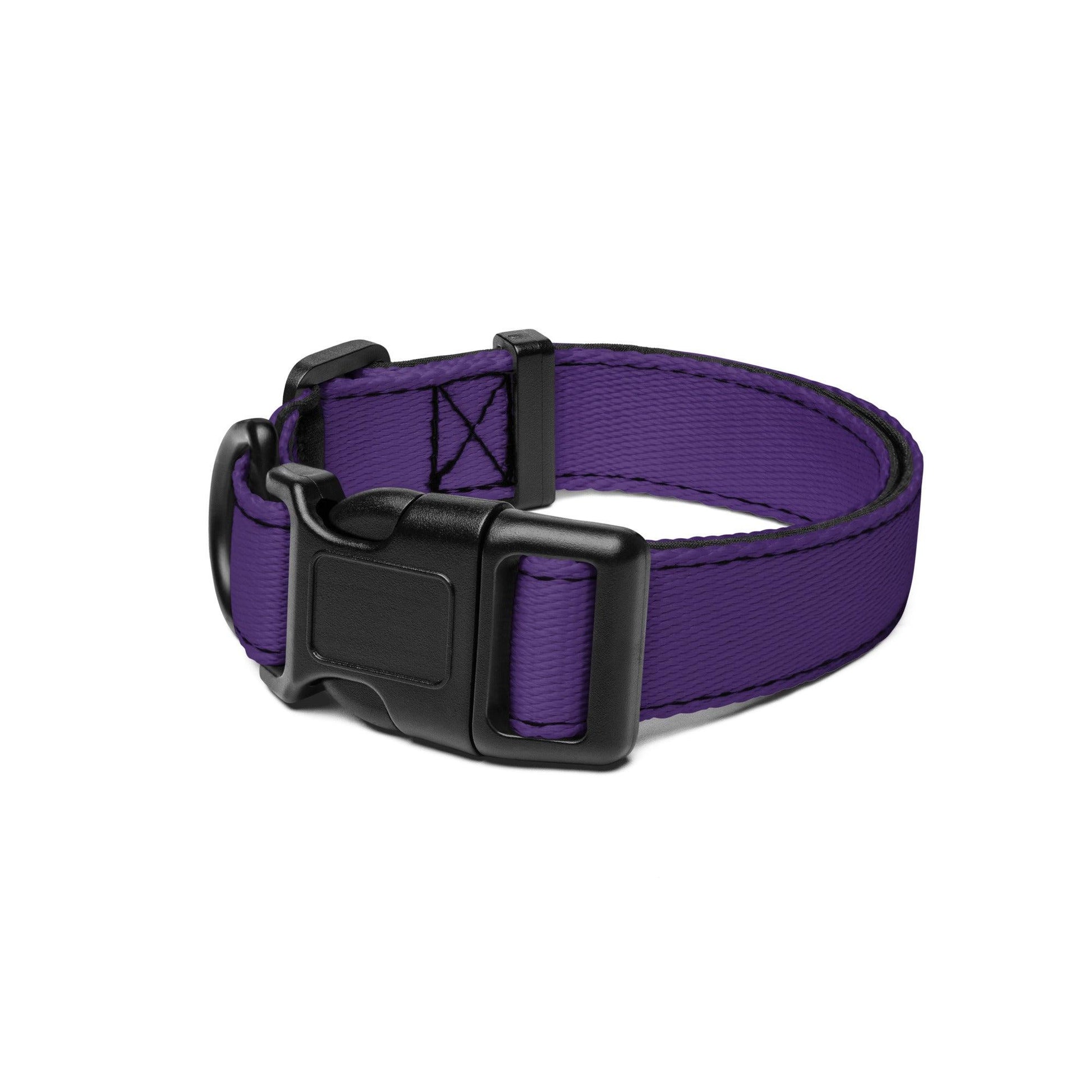 Purple Pet collar - Weird Wembley's Leashes & Collars 