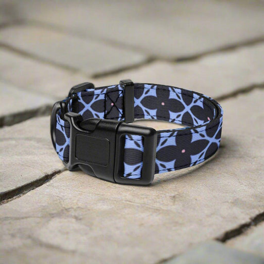 Adjustable Pet Collar with Secure Buckle and Unique Pattern Ships Free - Weird Wembley's Leashes & Collars 